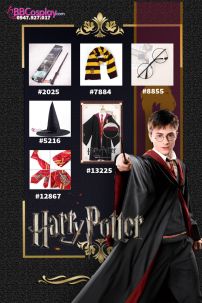 Trọn Bộ Đồng Phục Trường Hogwarts Nhà Godric Gryffindor - Harry Potter