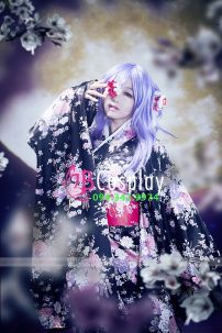 Kimono 17