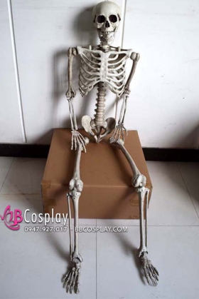 Mô Hình Bộ Xương Người Cao 165Cm Dùng Trang Trí Halloween