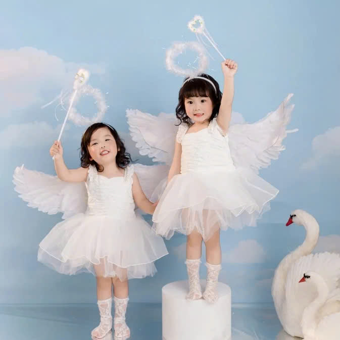 CÁNH TRẮNG 60CM