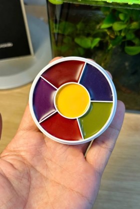 Màu Vẽ Hóa Trang 7 Màu - Tone Màu Trầm