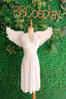 Đồ Thiên Sứ Cánh Trắng