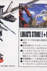 Mô Hình Gundam 008 Strike Rouge Gundam IWSP - MG 1/100