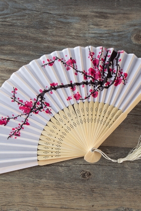 Quạt Xếp Vải Nền Trắng Nhành Đào Hồng